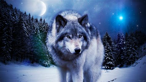 wolf pictures free|wolves pictures free for backgrounds.